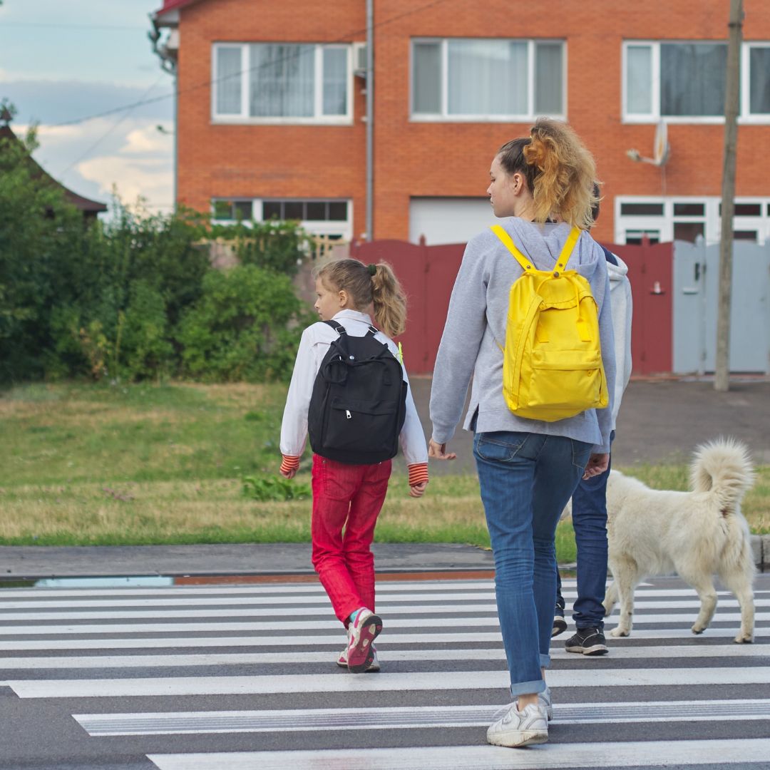 Woman, child, and dog walking on a street with residential buildings in the background, with text about a reduction in Oregon crash-related fatalities.